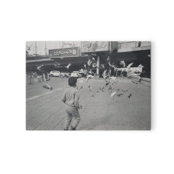 Photography postcards