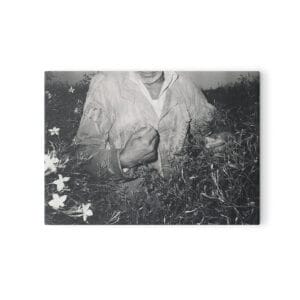 Photography postcards by Menna-3