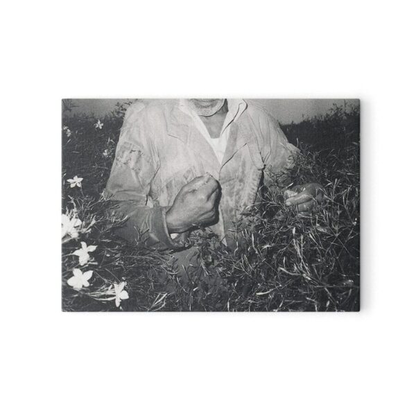 Photography postcards