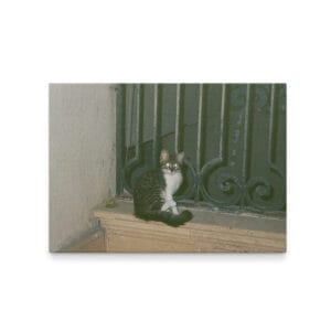 35mm Photographs