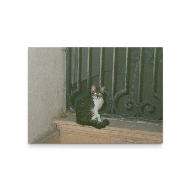 35mm Photographs